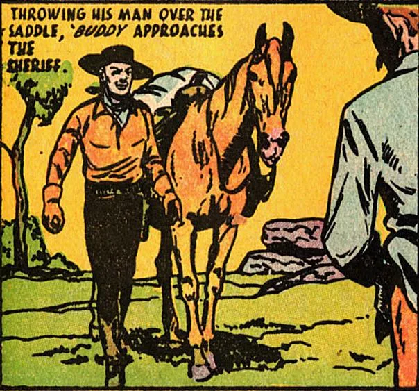 Tang the wonder horse