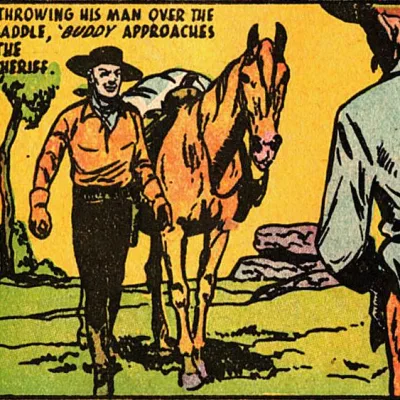 Tang the wonder horse