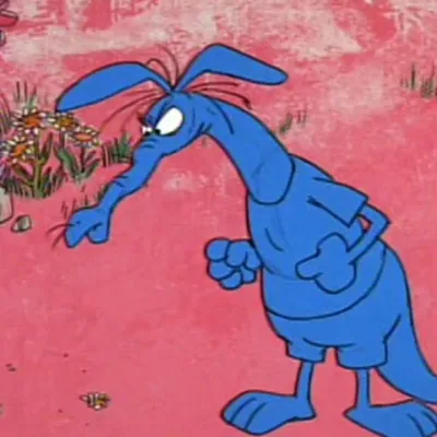 The Aardvark