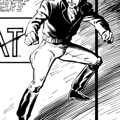 The Bat