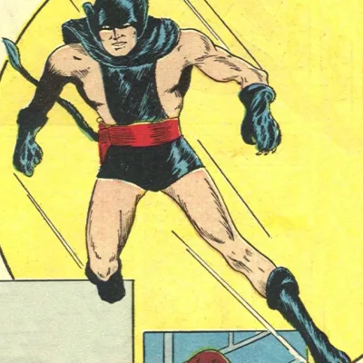 The Black Panther