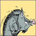 The Boar