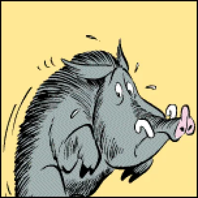 The Boar