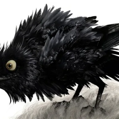The Crow