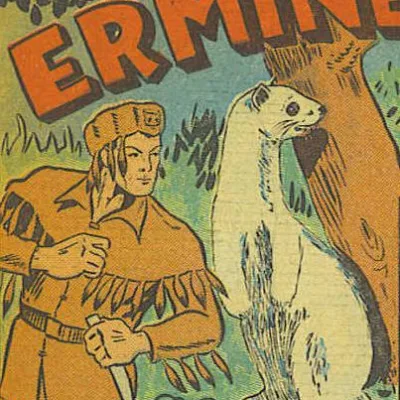 The Ermine
