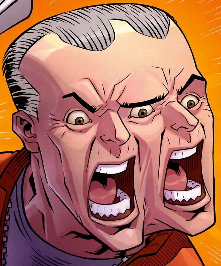 The Face