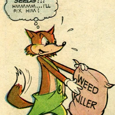 The Fox