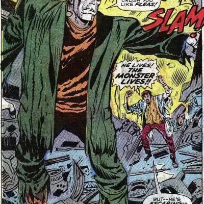 The Frankenstein Android