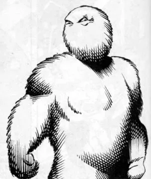 The Fuzzy Person