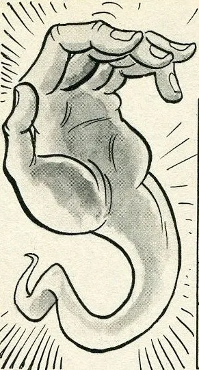 The Hand
