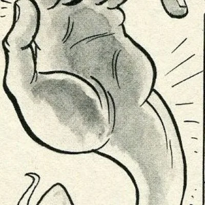 The Hand