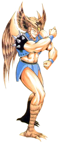 The Hawkman