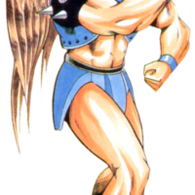 The Hawkman