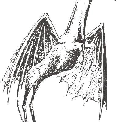 The Jersey Devil