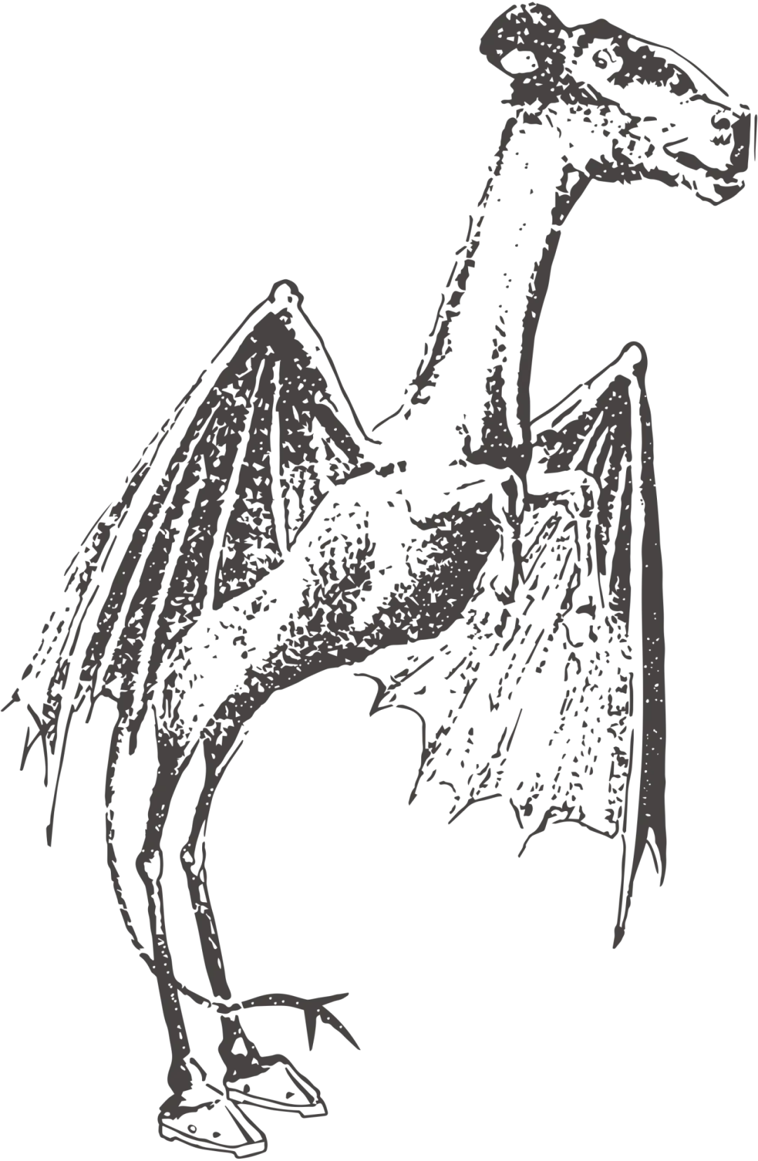 The Jersey Devil