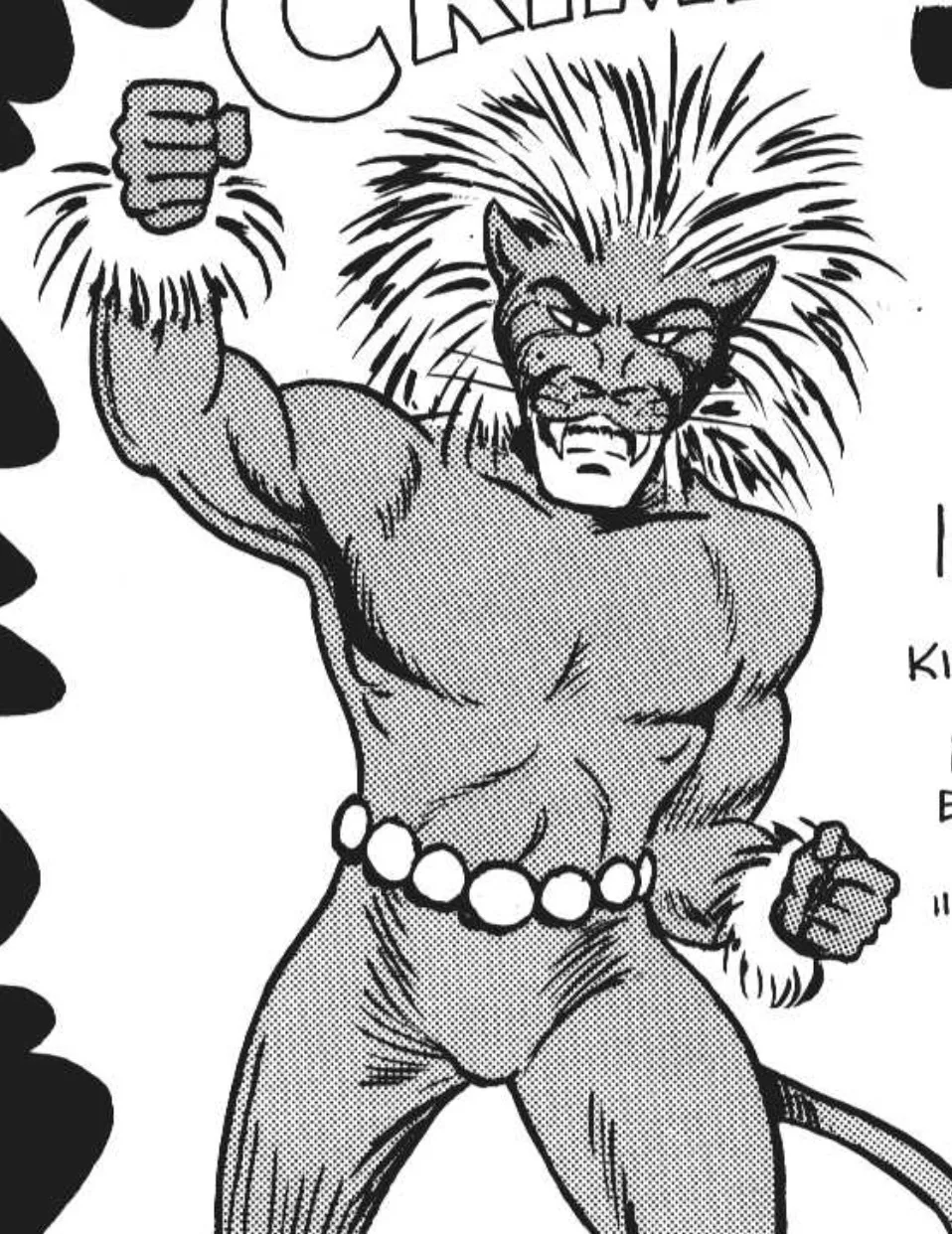 The Lion