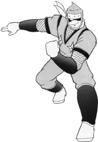 The Ninja