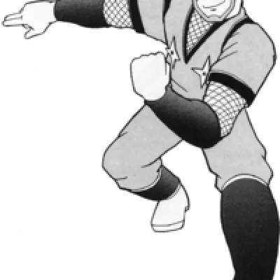 The Ninja