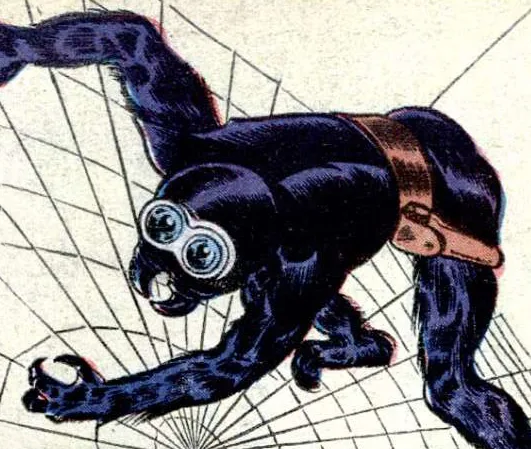 The Spider