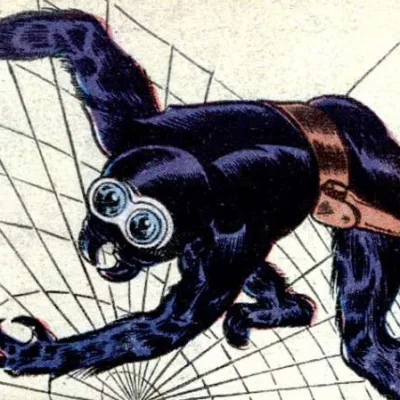 The Spider