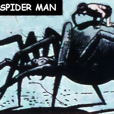 The Spider Man