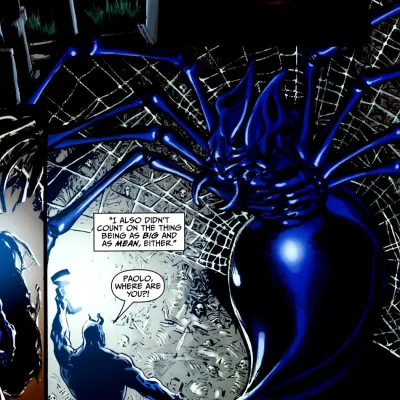The Spider of the Roman Catacombs