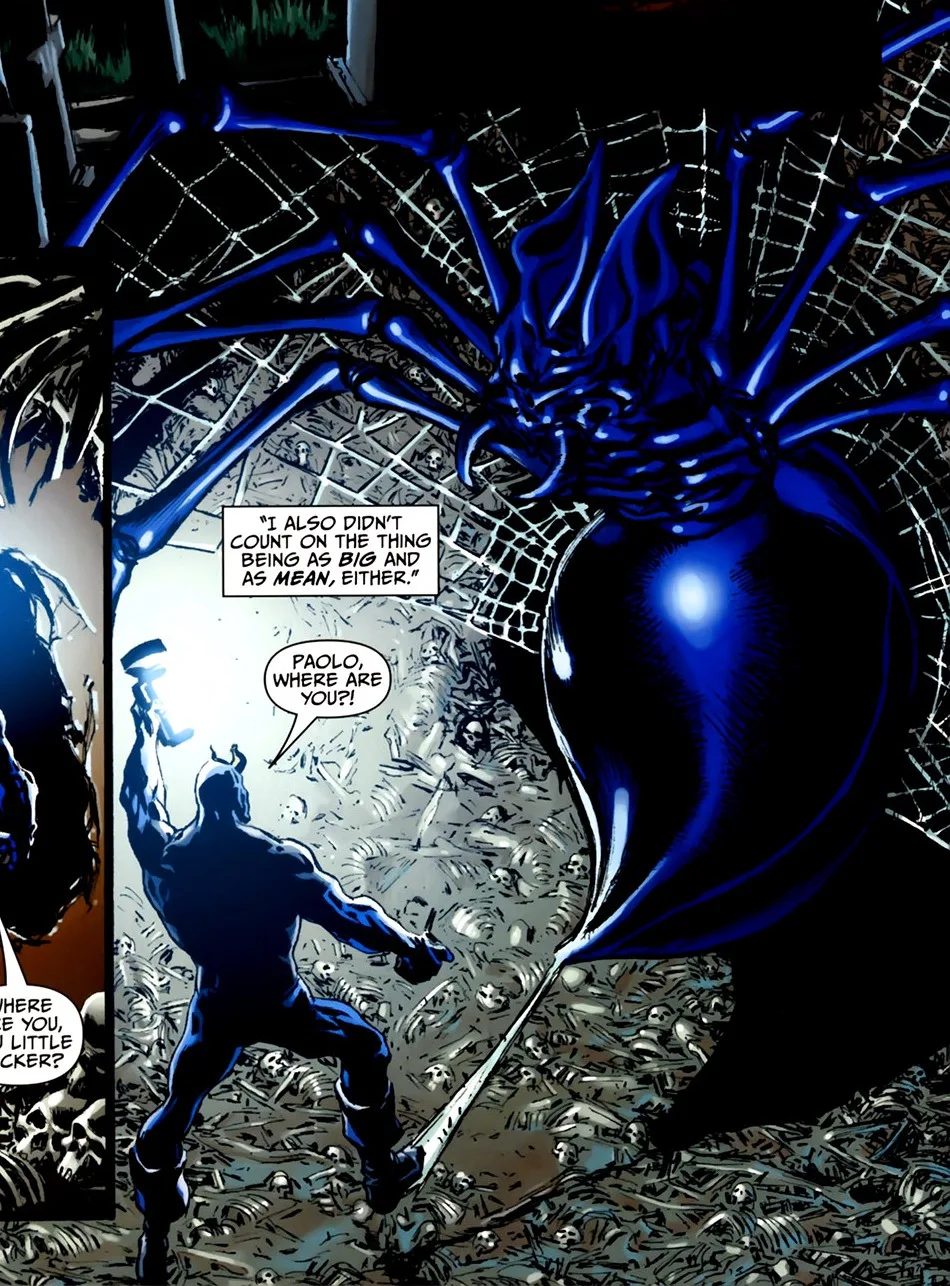 The Spider of the Roman Catacombs