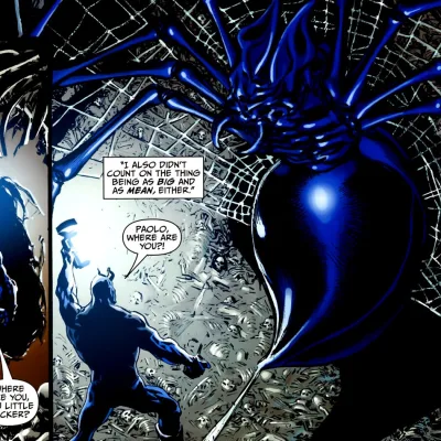 The Spider of the Roman Catacombs