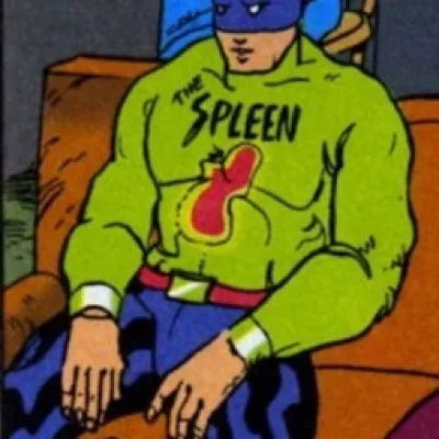 The Spleen