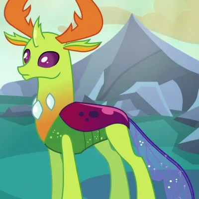 Thorax