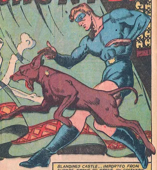 Thunderdog