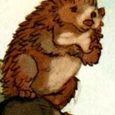 Tig the Hedgehog