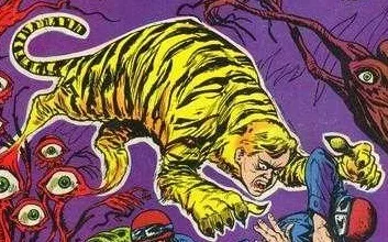 Tiger Boy