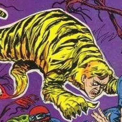 Tiger Boy