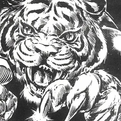 Tiger Commander