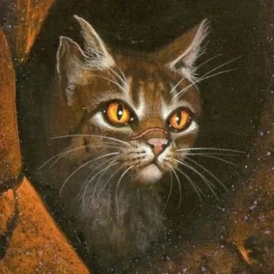 Tigerstar