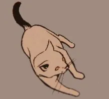 Tim
