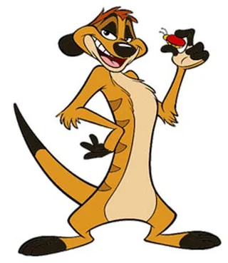 Timon