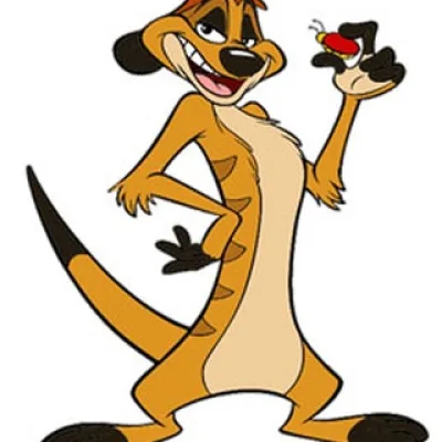 Timon