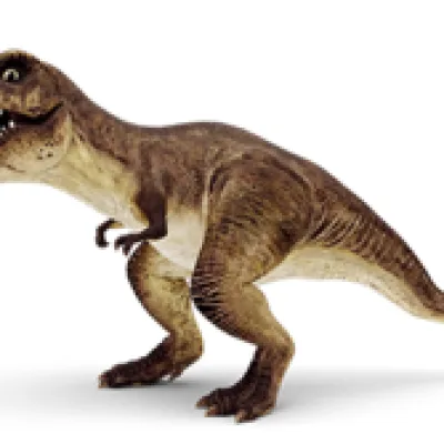 Tina Rex