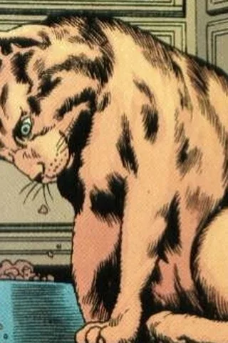 Tony