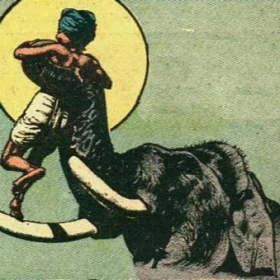 Toomai