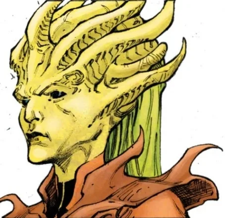 Torgga