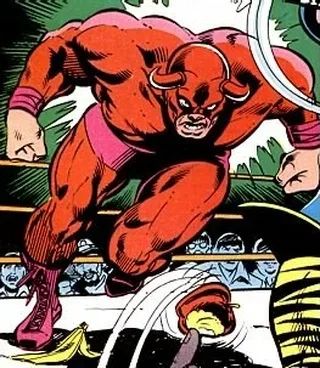 Toro Rojo