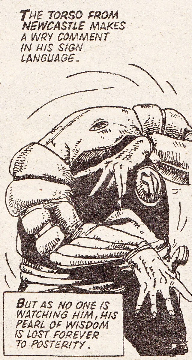 Torso