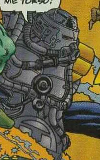 Torso