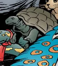 Tortoise