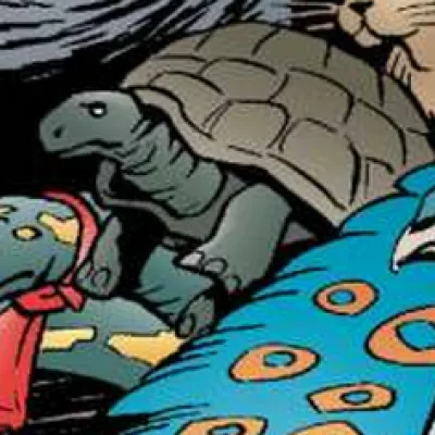 Tortoise