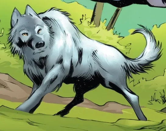 Toto