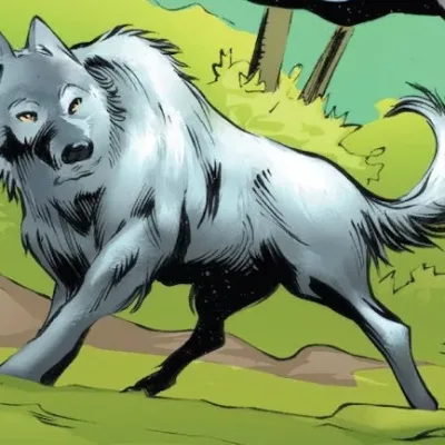 Toto